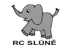 Primary Raster logo
